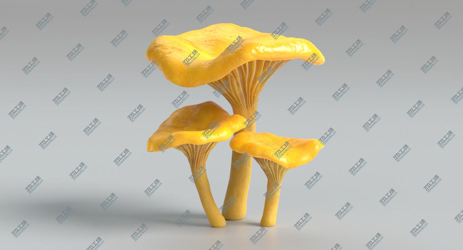 images/goods_img/202105072/Chanterelle Mushrooms/3.jpg